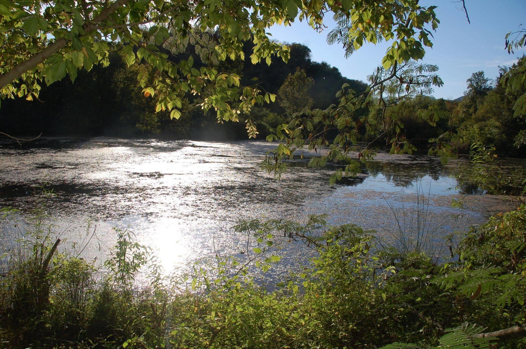 Creekwalk Inn And Cabins Cosby エクステリア 写真